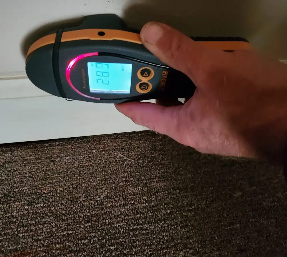 Moisture detection at baseboard during Burst Pipe Cleanup in Gladstone